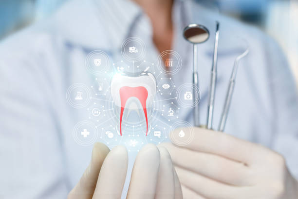 Best Traditional Braces  in New Paris, IN